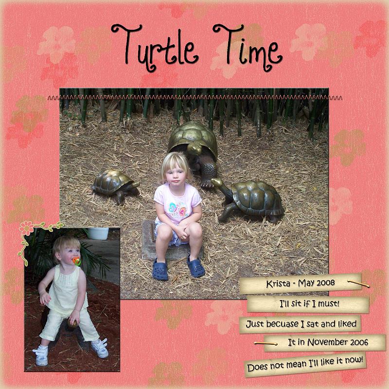 Turtle Time.jpg